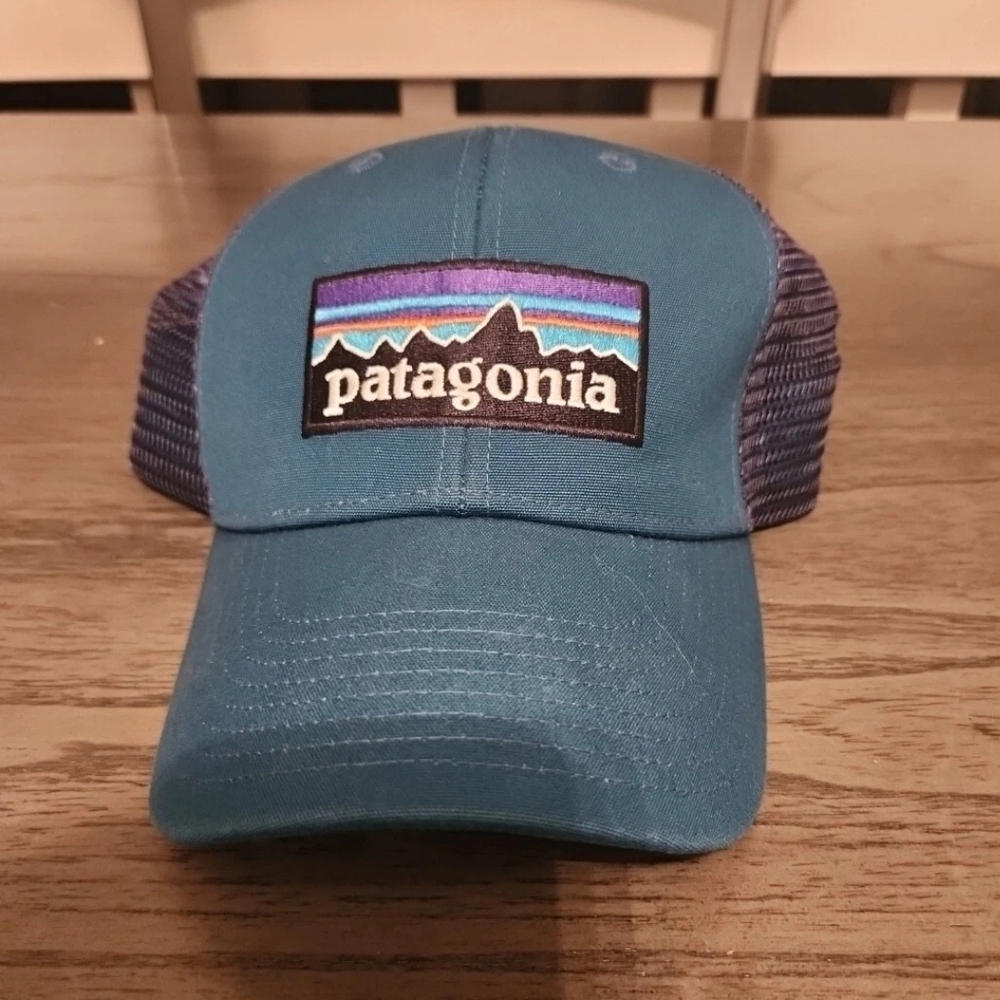 Patagonia Blue Trucker Hat